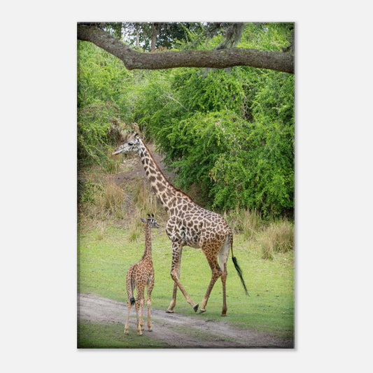 Wild Wednesdays: Mother & Child...Giraffes, Elephants, and Zebras (April 9th)