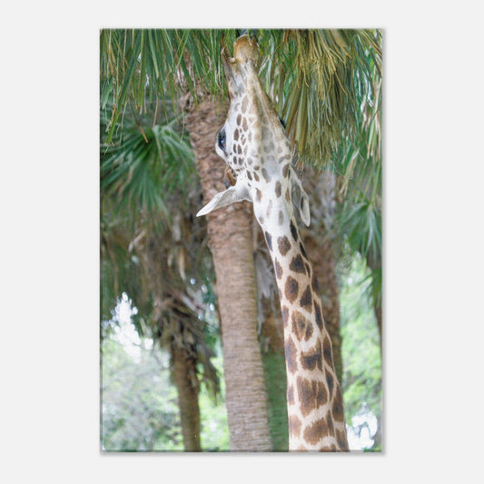 Single-Day Series/Wild Wednesday: Grazing (April 2nd)