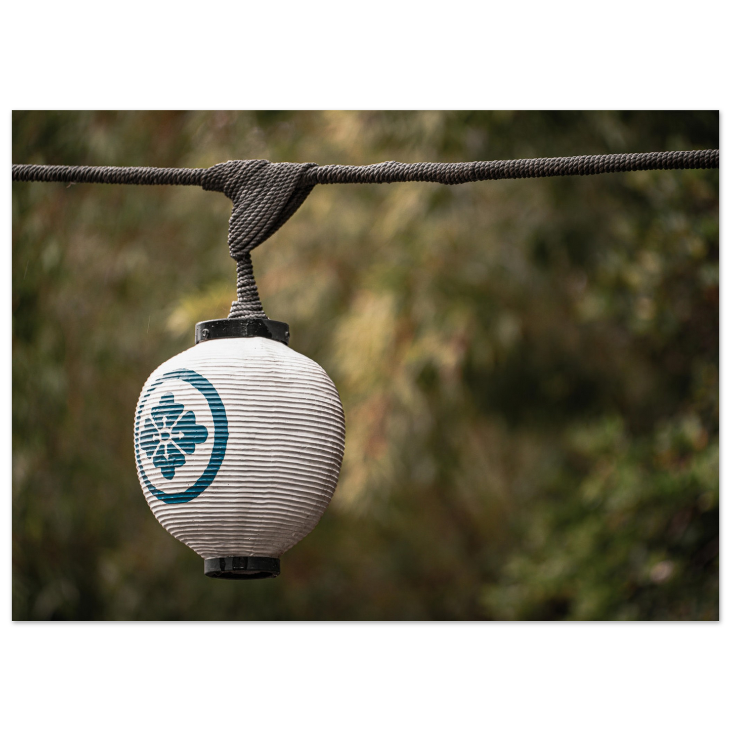 3c4bca37-81e7-4f1c-bc05-a6da6bc40374