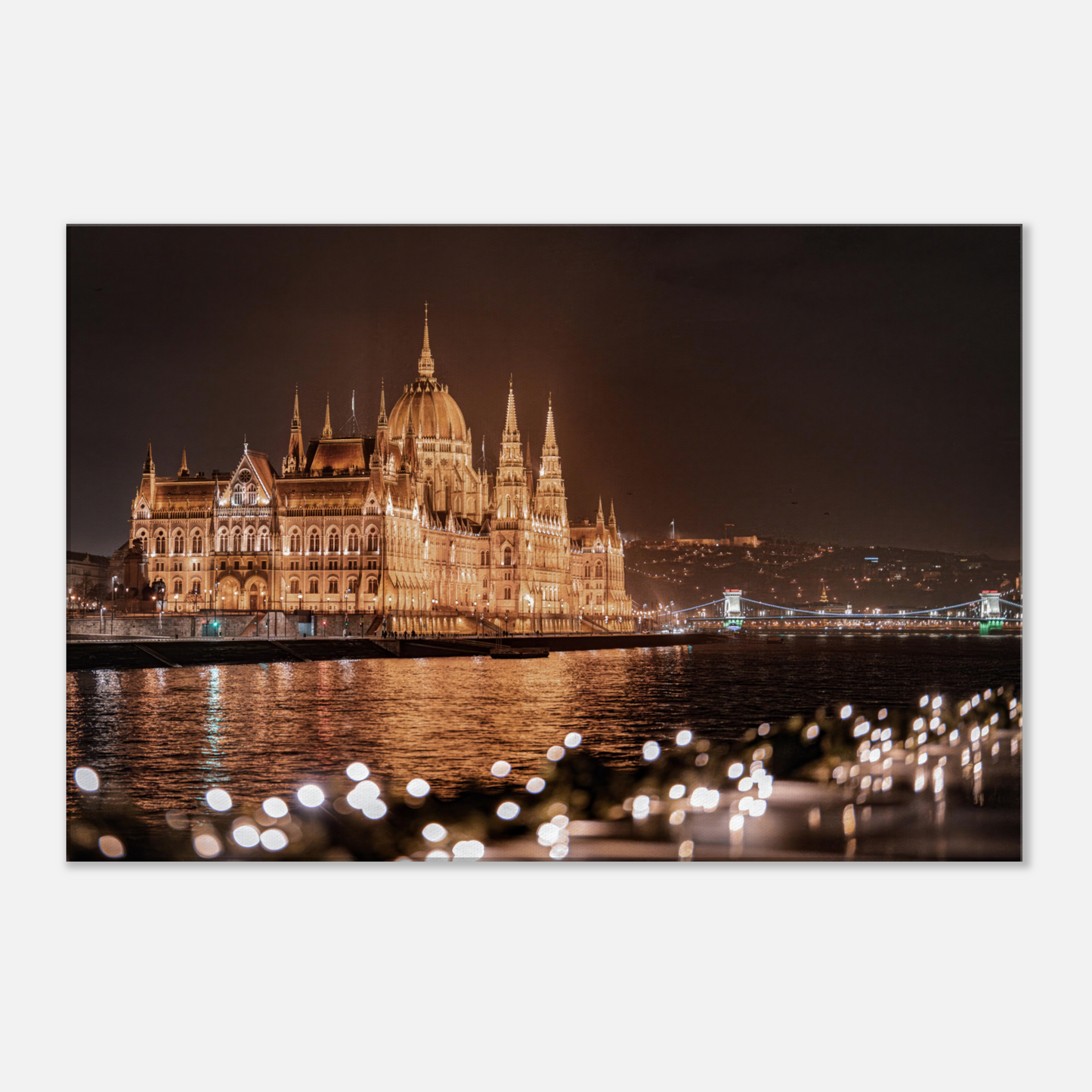 Danube Series - Hungarian Parliament Building (Budapest, Hungary)