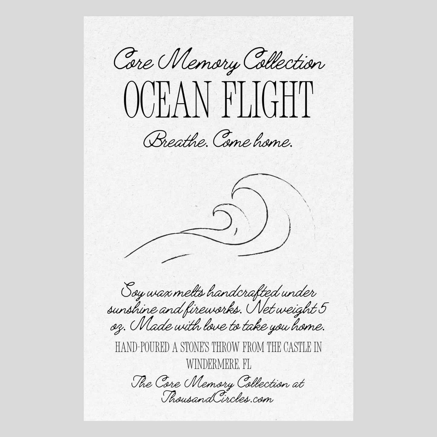Ocean Flight