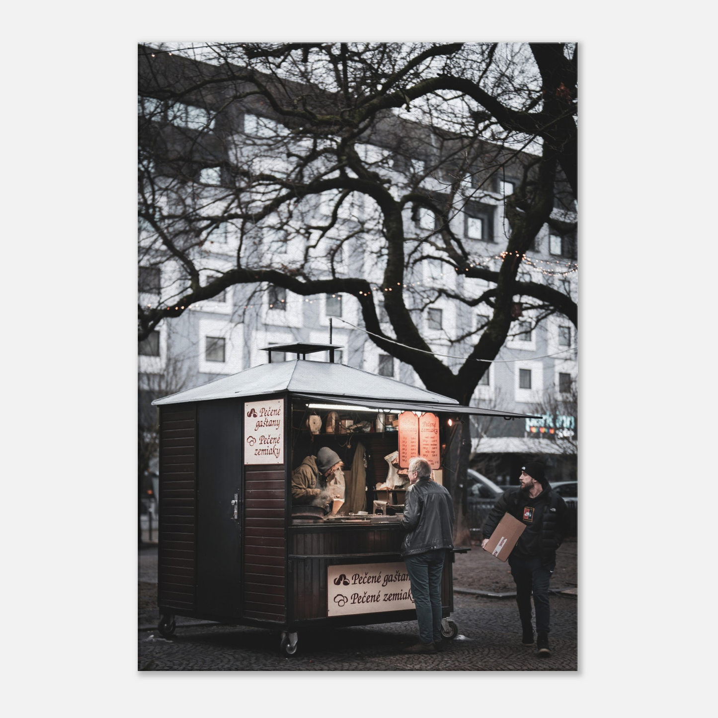 Danube Series - Roasted Chestnuts (Bratislava, Slovakia)