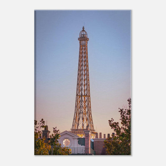 Single-Day Series: So Glad I Left My Tower (February 6th)