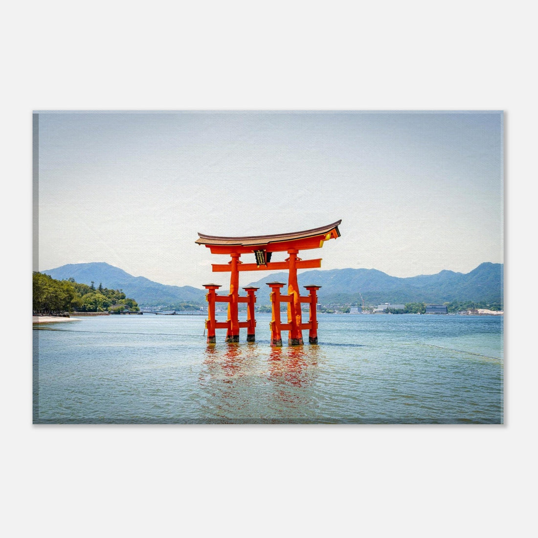 Japan: Torii I & II (June 3rd)