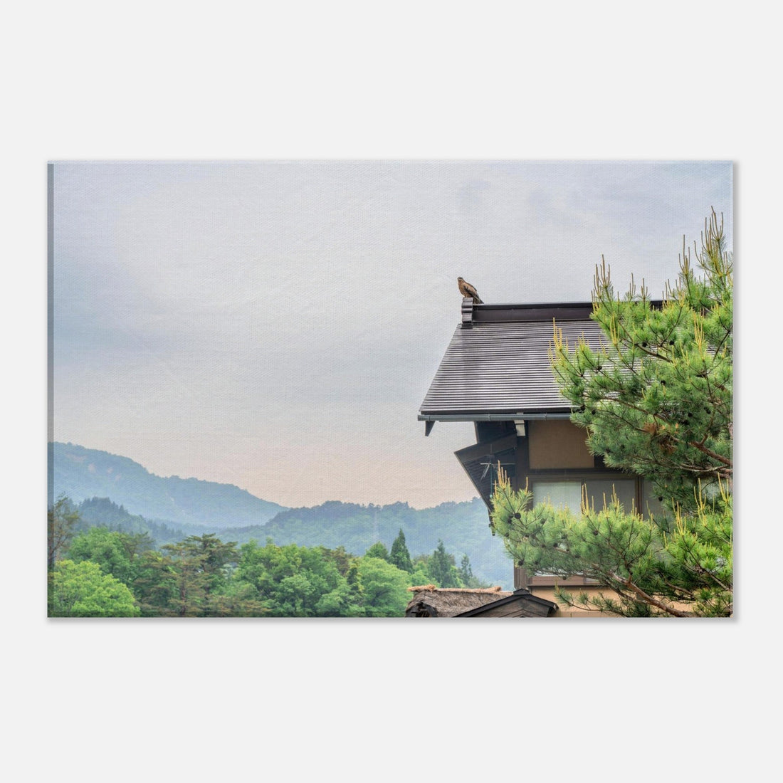 Japan: Shirakawa-go I (June 4th - 3/3)
