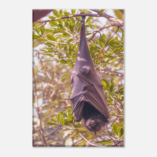Single-Day Series: Hanging Around (October 29th)