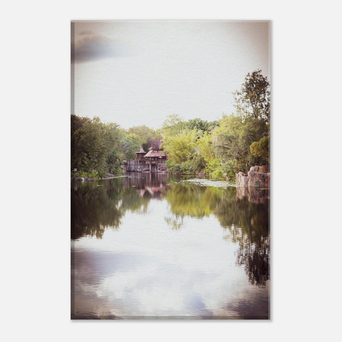Single-Day Series: Flame Tree Overlook (January 13th)