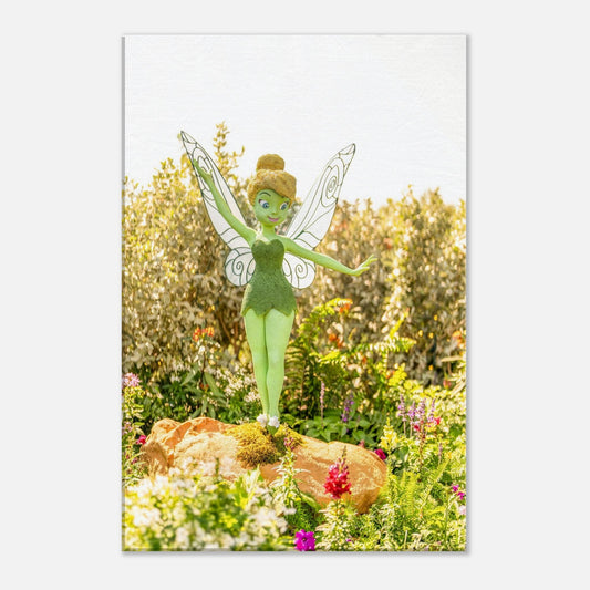 Single-Day Series: Second Star (March 11th)