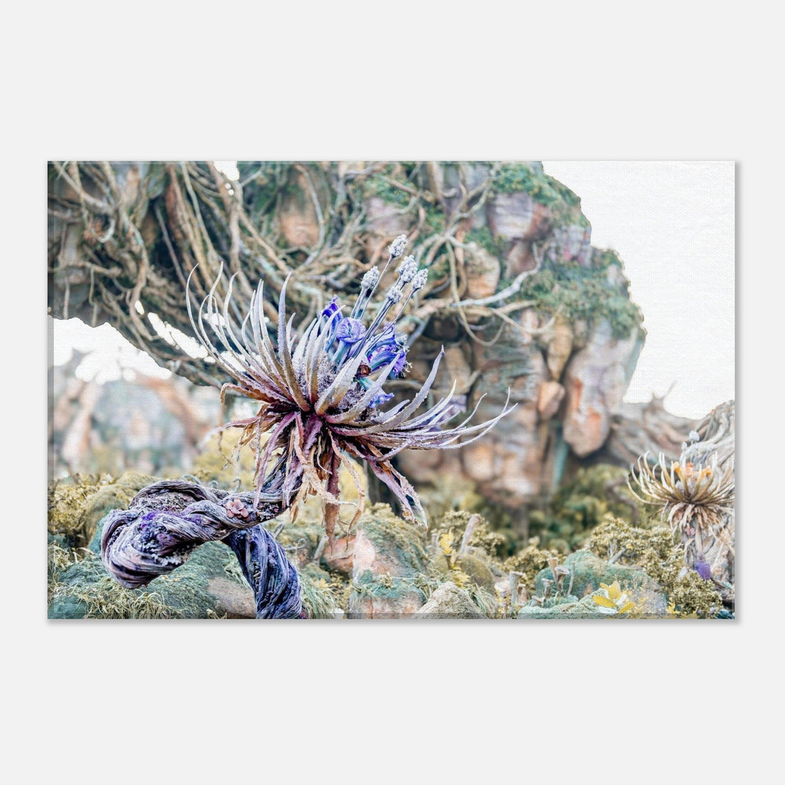 Single-Day Series: Alien Flower (March 20th)
