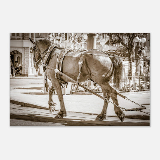 Single-Day Series: Horse Drawn (February 18th)