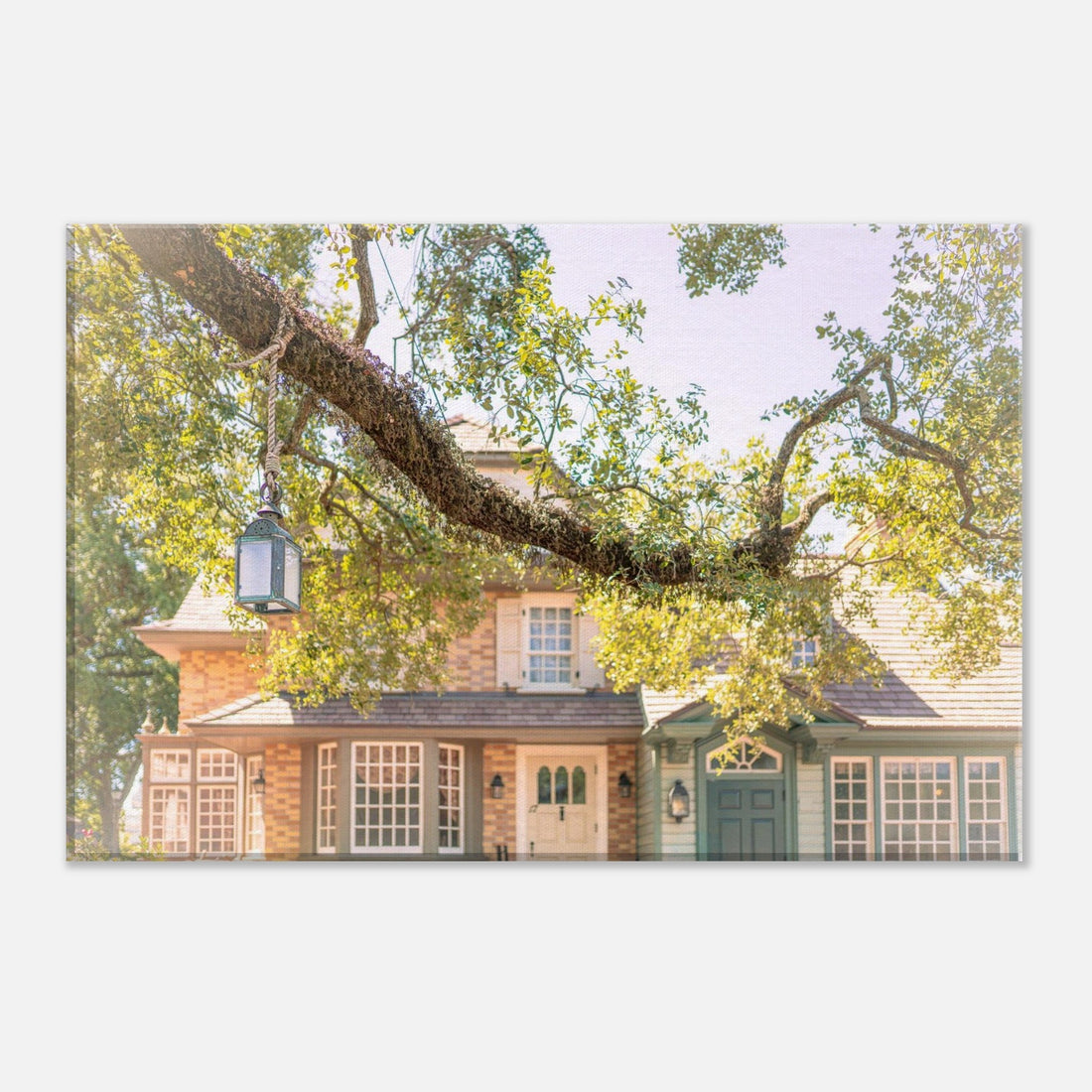 Single-Day Series: Liberty Tree (April 21st)