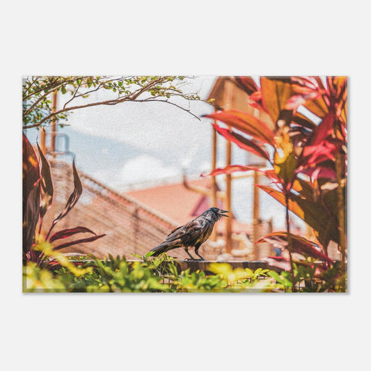 Single-Day Series: Crow + Poly (May 21st)