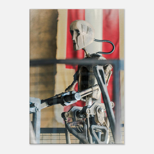 Single-Day Series: Salvaged (April 30th)