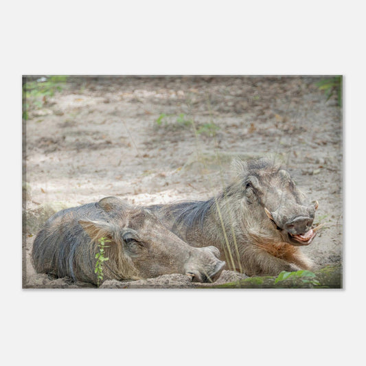 Wild Wednesday: When I Was a Young Warthog