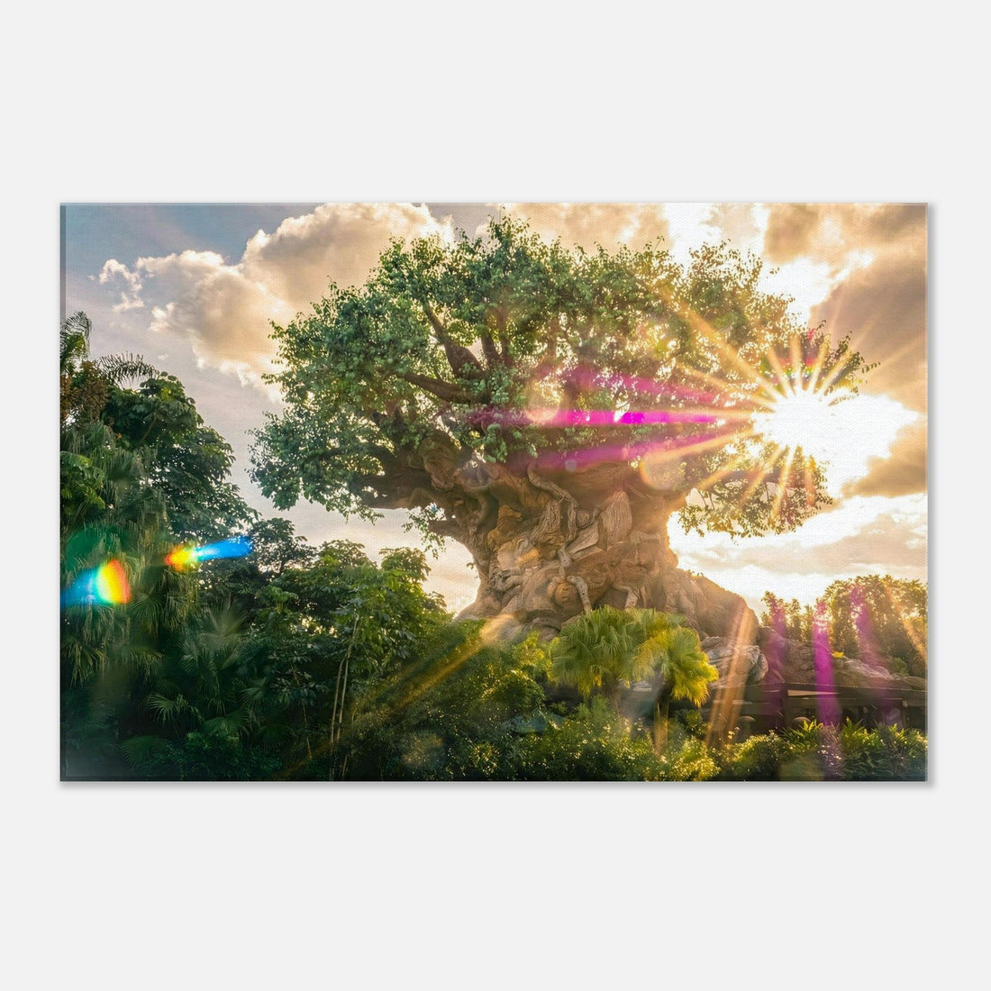 Single-Day Series: Sunburst (December 16th)