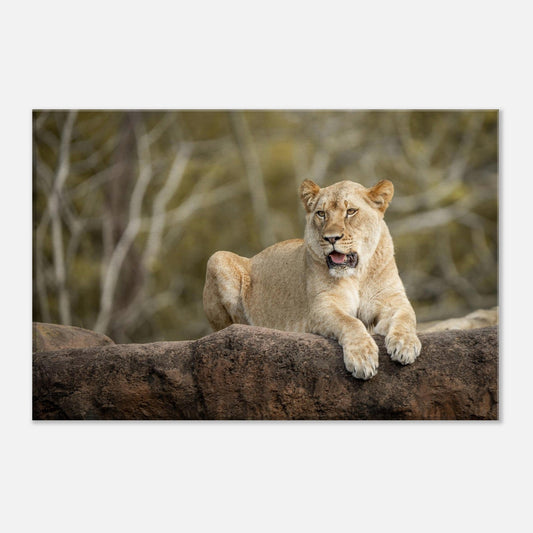 Single-Day Series: Pride Rock (March 12th)