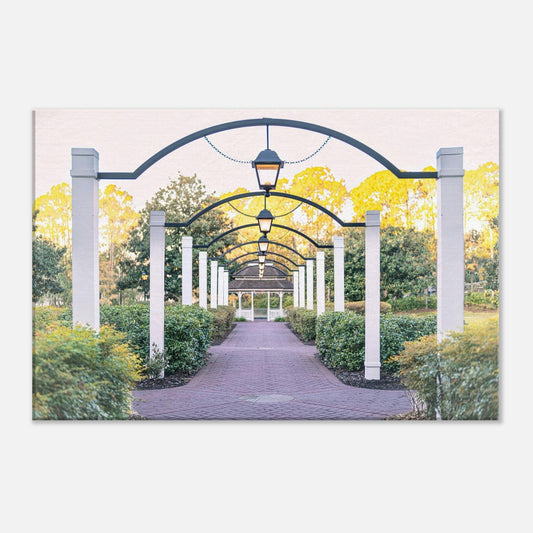 Single-Day Series: Magnolia Bend (February 3rd)