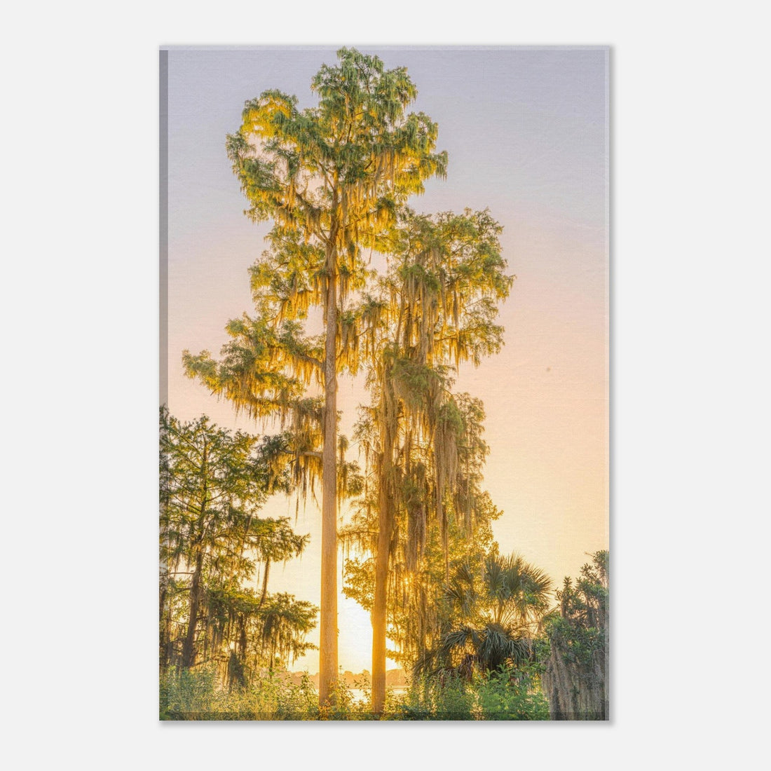 Single-Day Series: Pacific Northwest (July 21st)