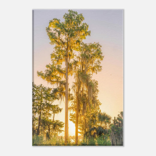 Single-Day Series: Pacific Northwest (July 21st)