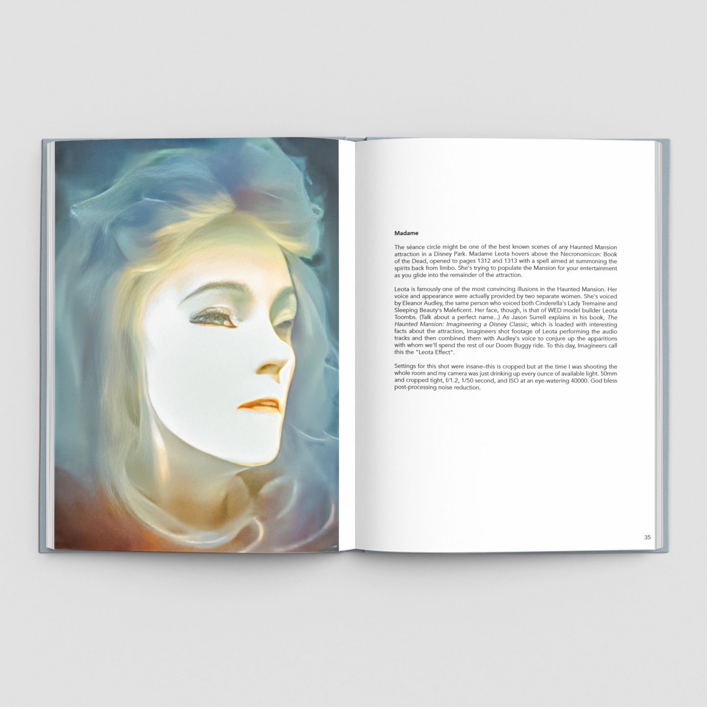 100 Days of Magic: A Photgraphic Love Letter to the Disney Parks and Beyond