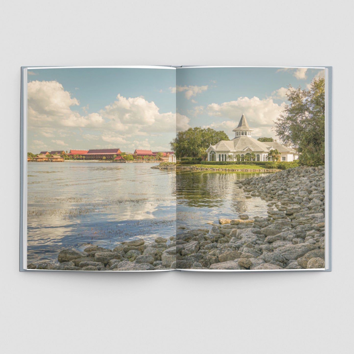 100 Days of Magic: A Photgraphic Love Letter to the Disney Parks and Beyond