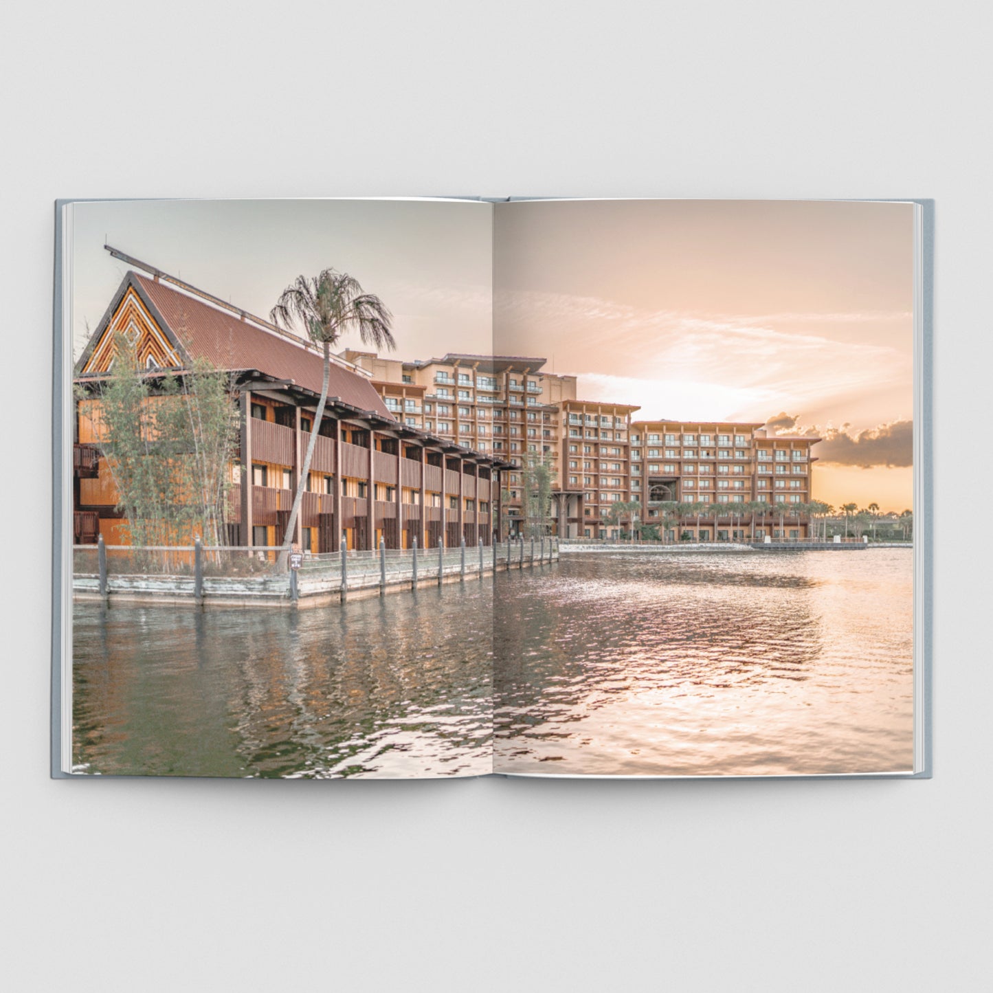 100 Days of Magic: A Photgraphic Love Letter to the Disney Parks and Beyond