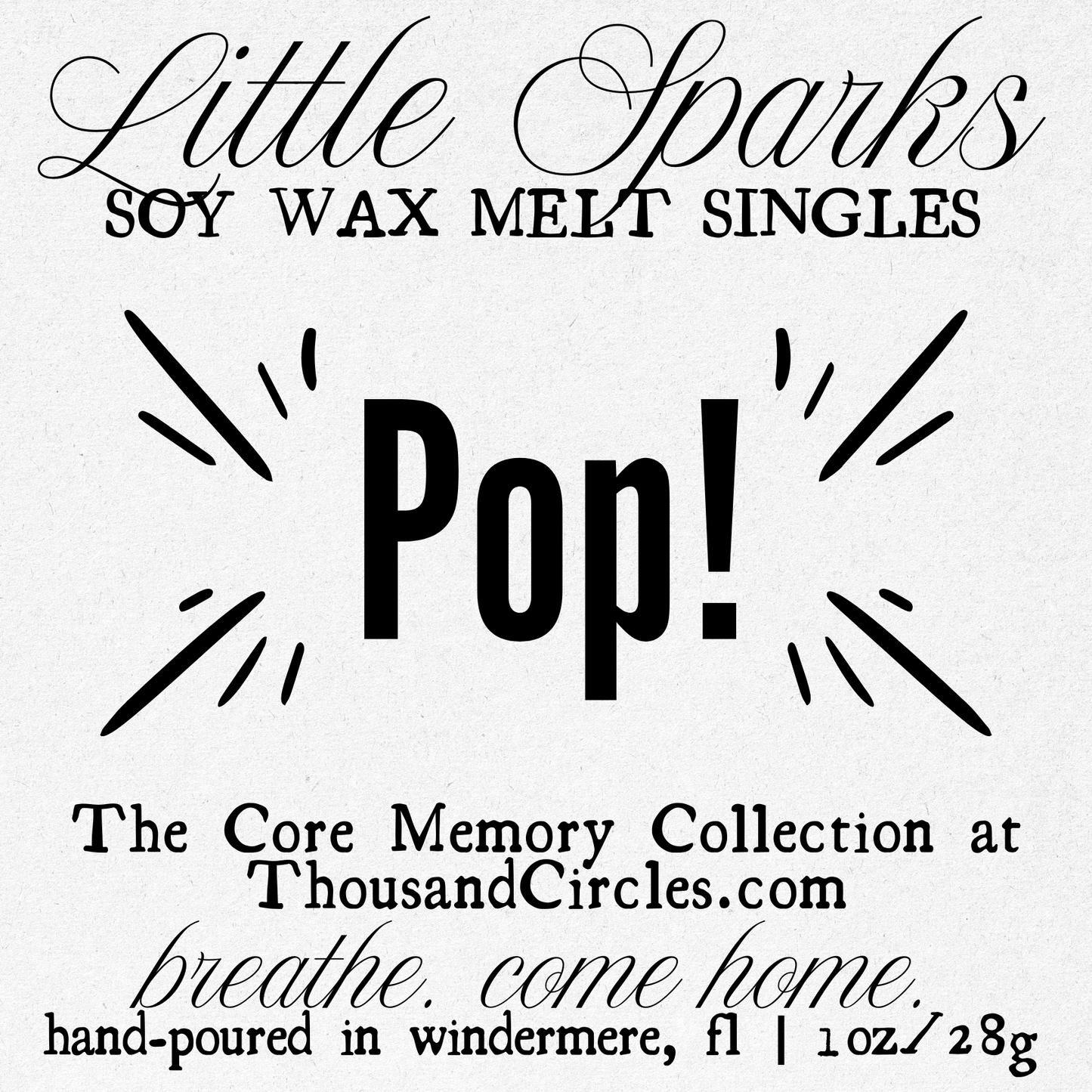 Little Sparks Samples: Single Block Wax Melt Samples (1 oz.)