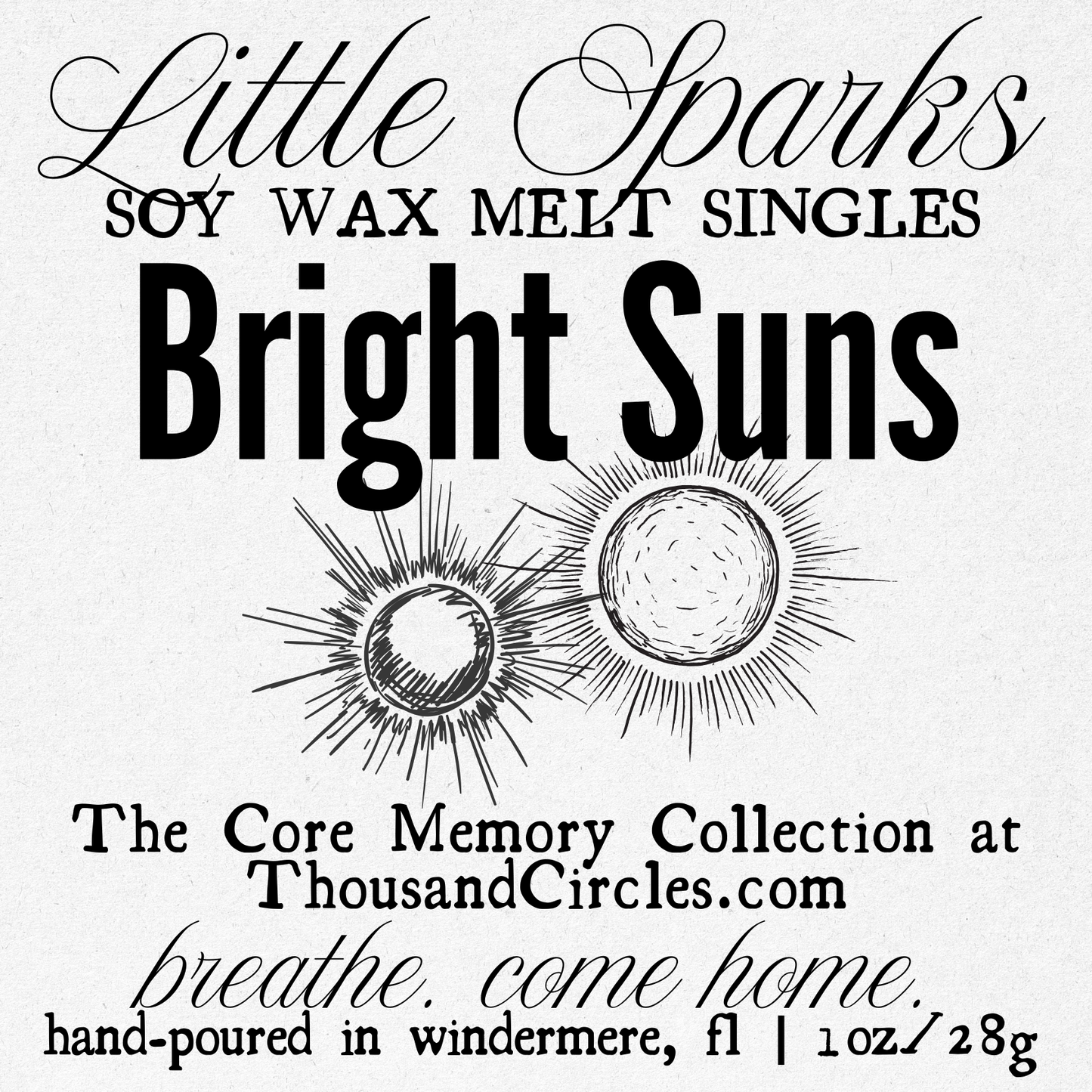 Little Sparks Samples: Single Block Wax Melt Samples (1 oz.)