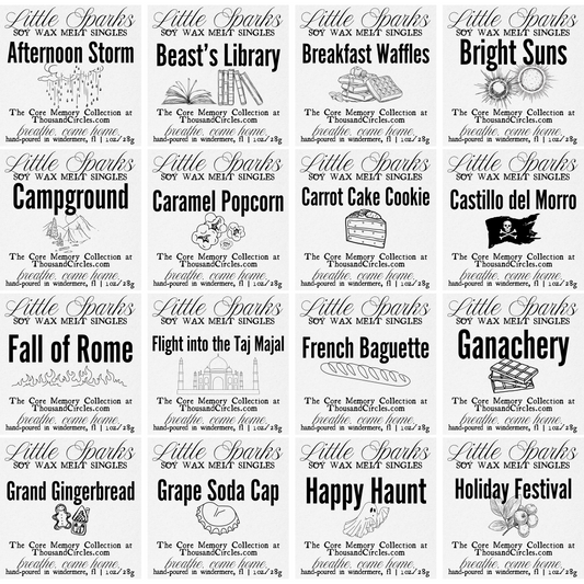 Little Sparks Samples: Complete Set of 38 Single Block Wax Melt Samples (1 oz. each)