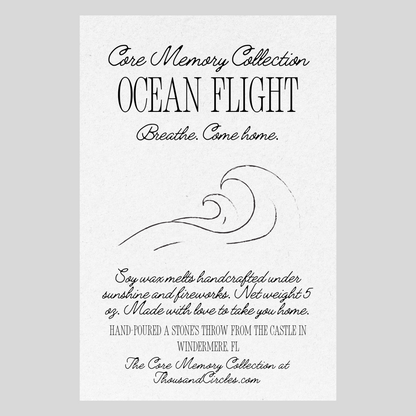 Ocean Flight