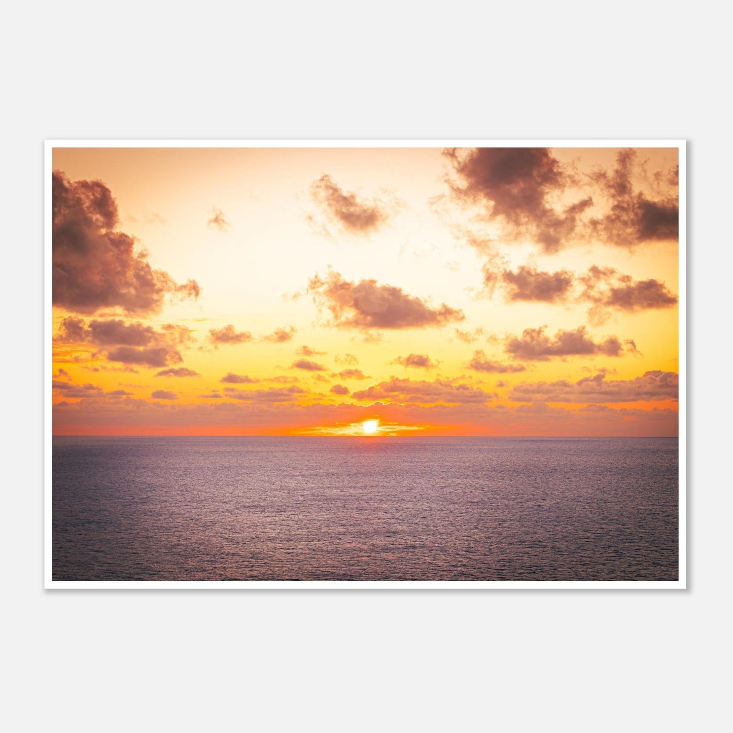 bd2f4934-d9e6-4fb5-b364-5e5d78341506