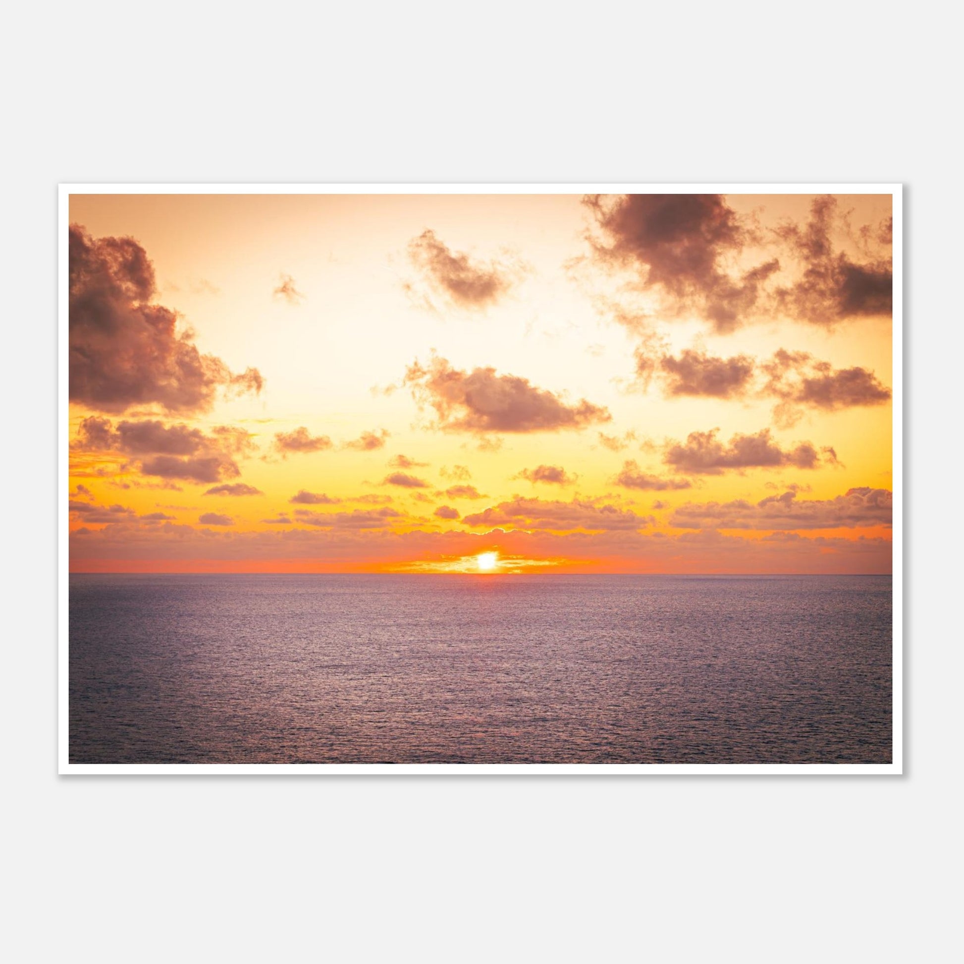 bd2f4934-d9e6-4fb5-b364-5e5d78341506