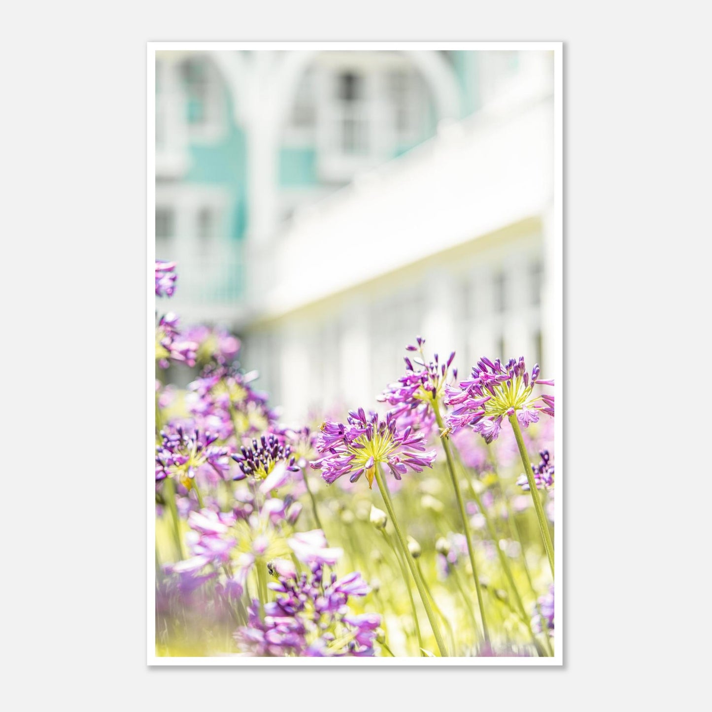 d788b391-f8d4-415e-9ccb-6e33349bf51a