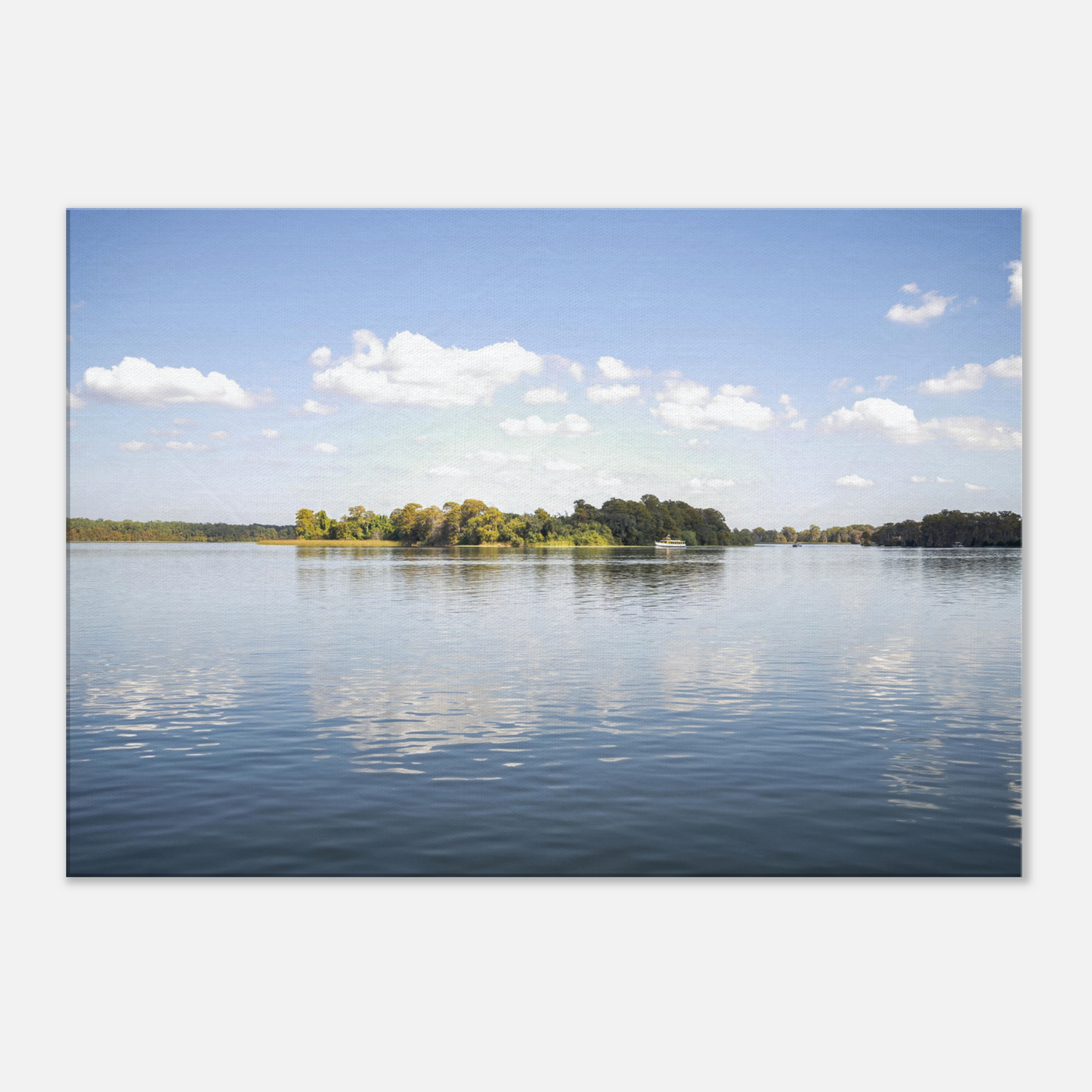 Geyser View (Gallery-Wrapped Canvas)