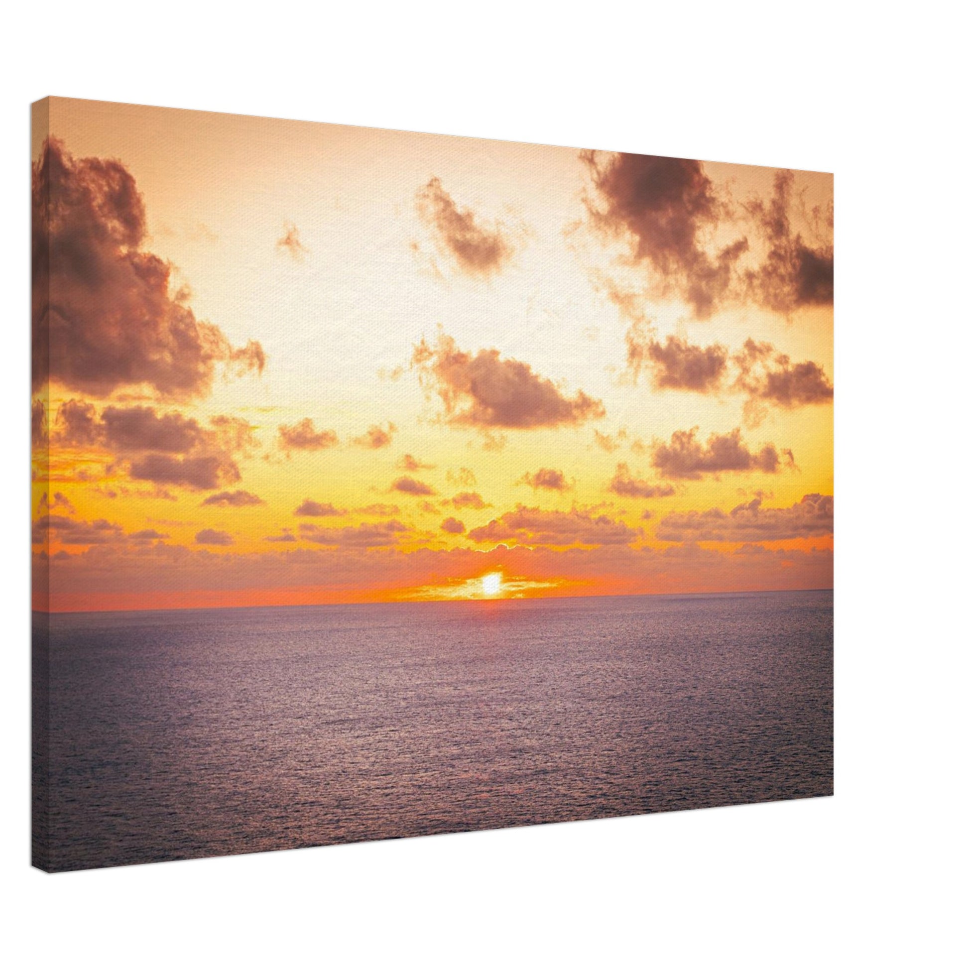 ed82e40b-7f8f-40b8-bf09-fd13ae0b4eb2