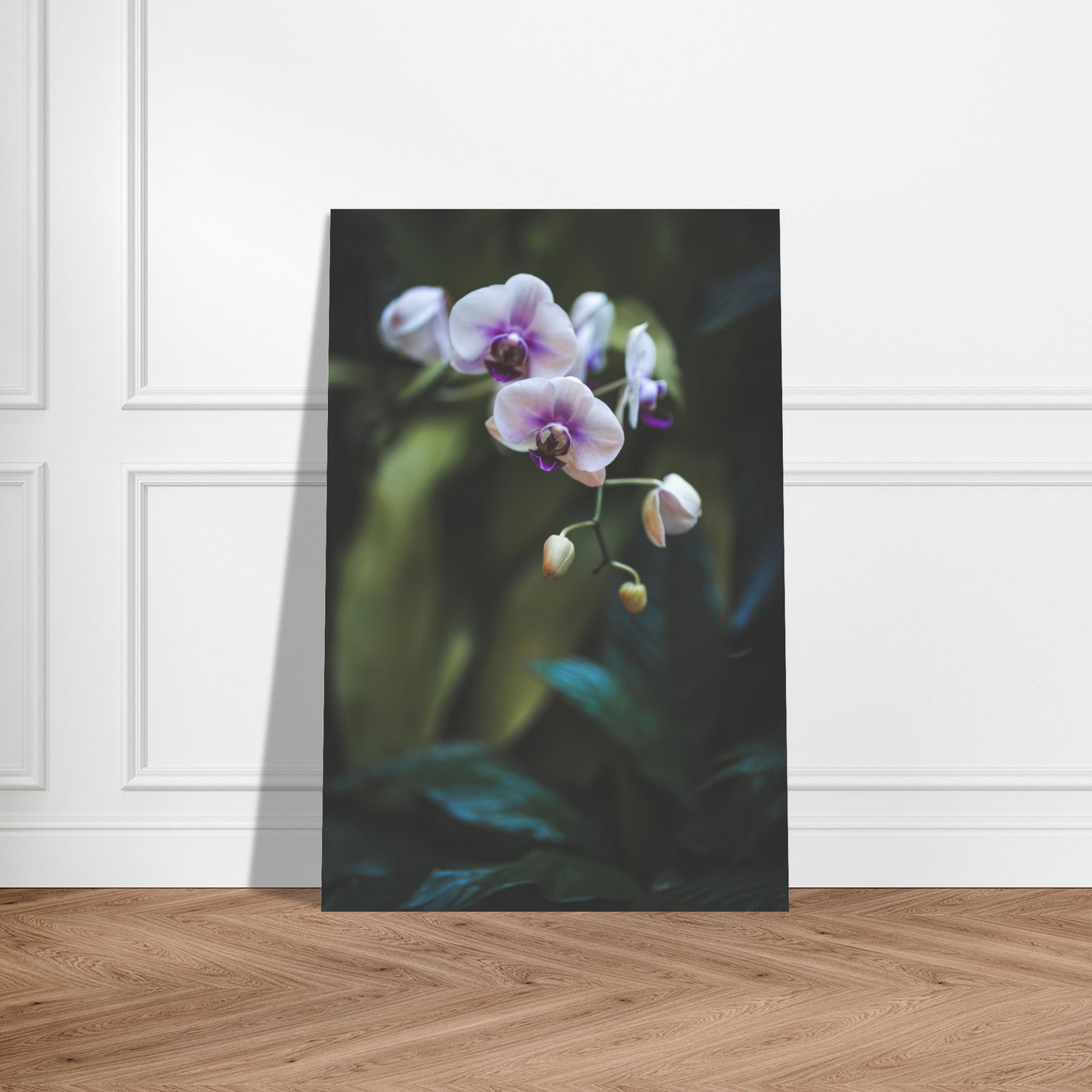 Polynesian Orchid (Collectible Aluminum Print - 8"x12")